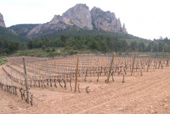 Emparrados_LaRioja