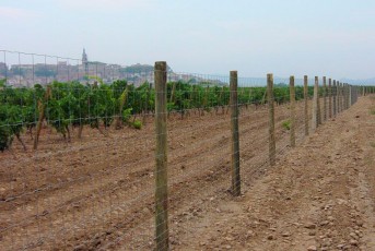 Emparrados_LaRioja_3