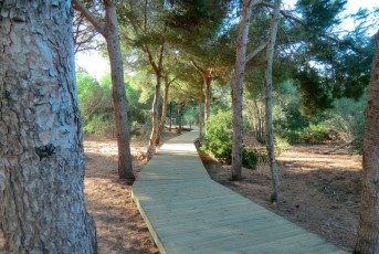 Pasarelas_Cadiz_2