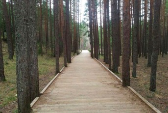 Pasarelas_Cuenca
