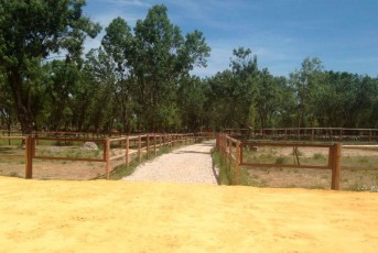 Vallas_Madrid_3