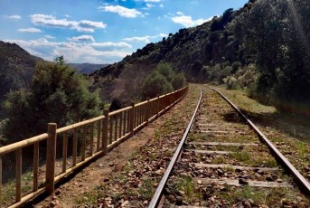Vallas_Salamanca_2